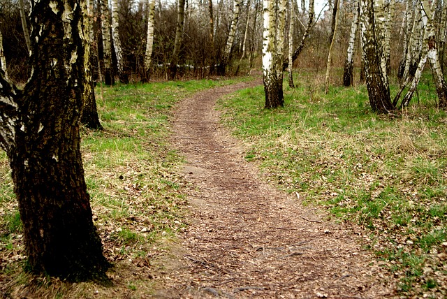 Fototapety wielkoformatowe, a aranżacja wnętrz (druk tapet Kraków)